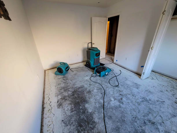 Best Fire Damage Restoration  in Oakwood, PA