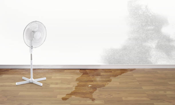  Oakwood, PA Water damage restoration Pros