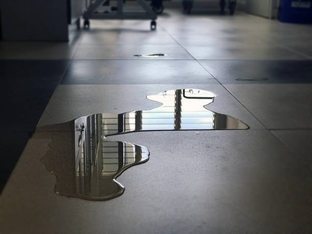 Best Water damage restoration near me  in Oakwood, PA