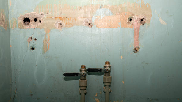Best Ceiling water damage repair  in Oakwood, PA