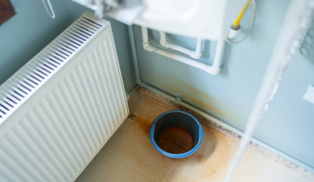 Best Ceiling water damage repair  in Oakwood, PA