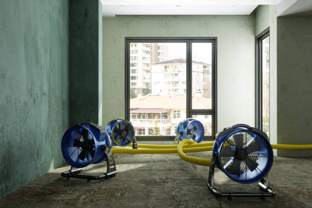 Best Local water damage restoration  in Oakwood, PA