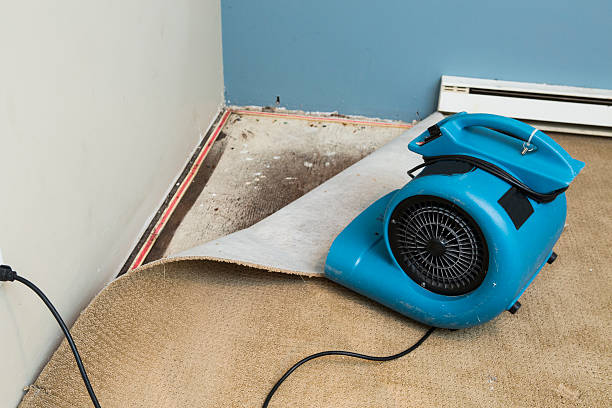 Trusted Oakwood, PA Water damage restoration Experts
